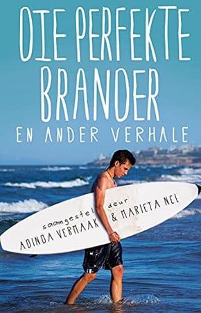 Die perfekte brander en ander verhale